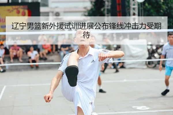 辽宁男篮新外援试训进展公布锋线冲击力受期待