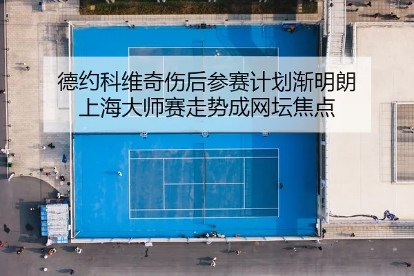 德约科维奇伤后参赛计划渐明朗 上海大师赛走势成网坛焦点